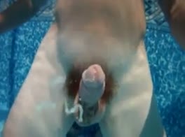 largest cumming mammal. Amazing!!!!!